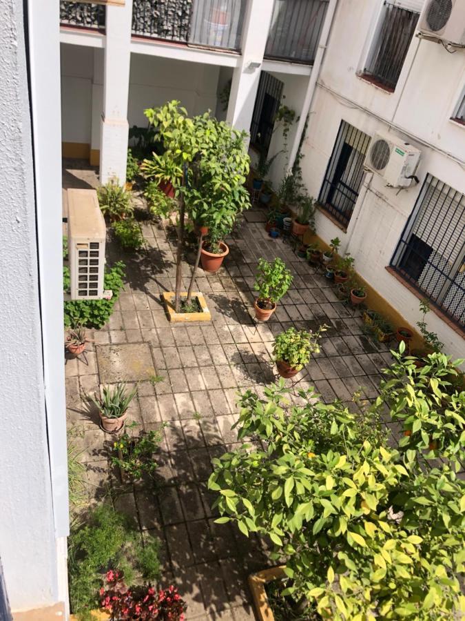 Apartamento Plaza Santa Lucia Renovado Febrero 2025 Sevilla Exterior foto